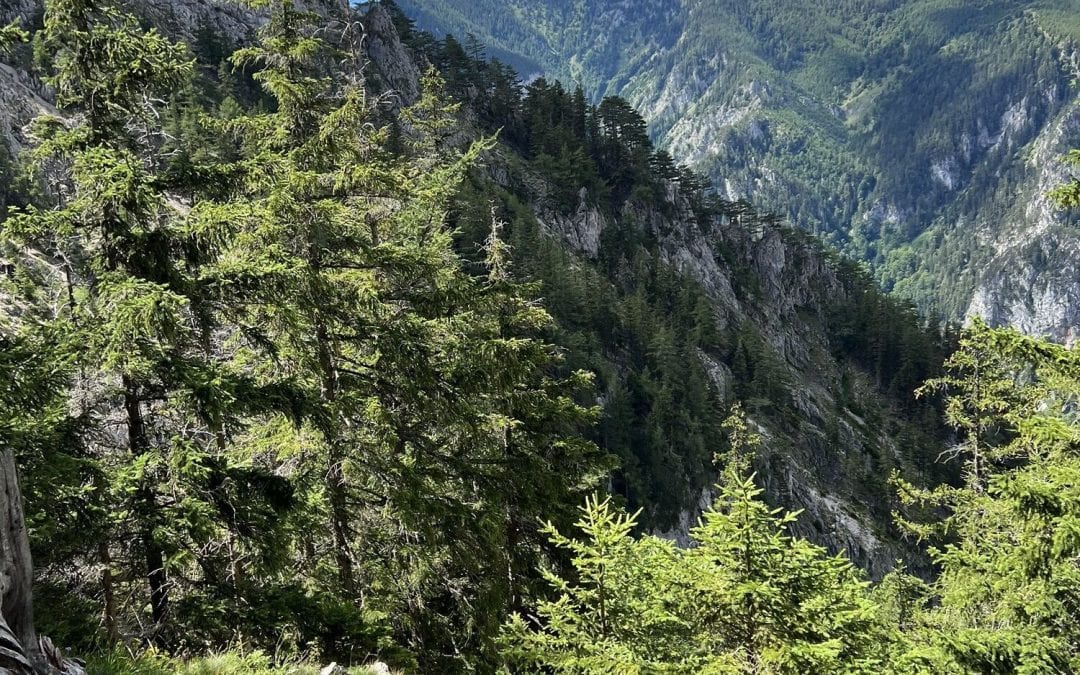 Zwei verirrte junge Frauen am Schneeberg